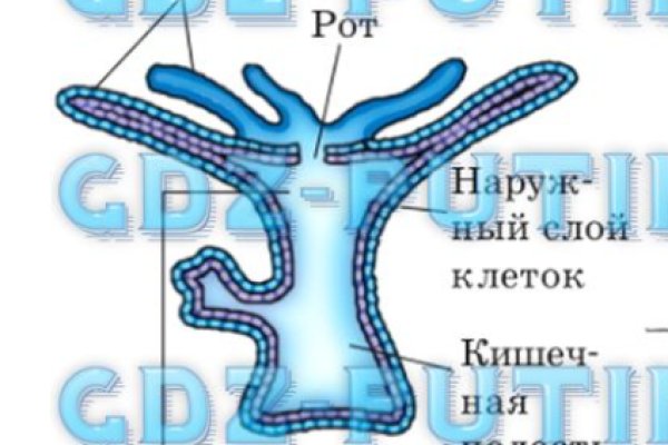 Megaruzxpnew4af union официальный сайт