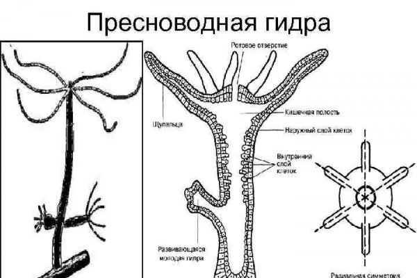 BlackSprut магазин закладок