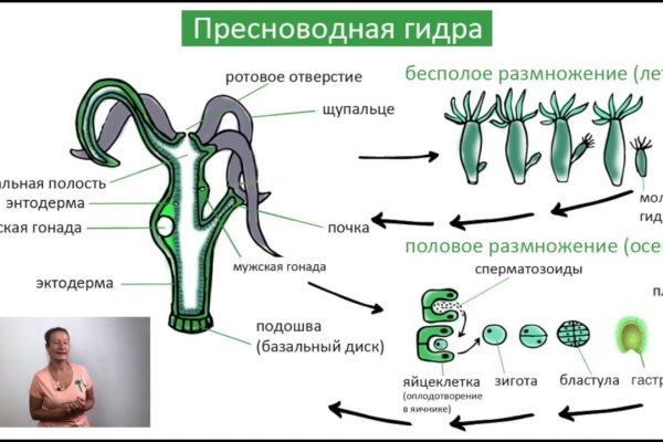 Кракен сайт магазин