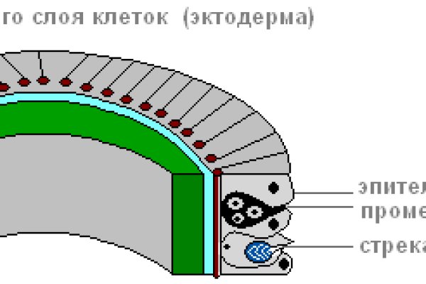 Аккаунты omg