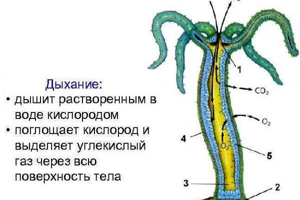 Как отправить фото в диспут на меге