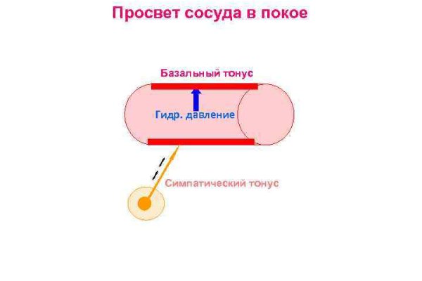 Загрузить фото на мегу с телефона андроид